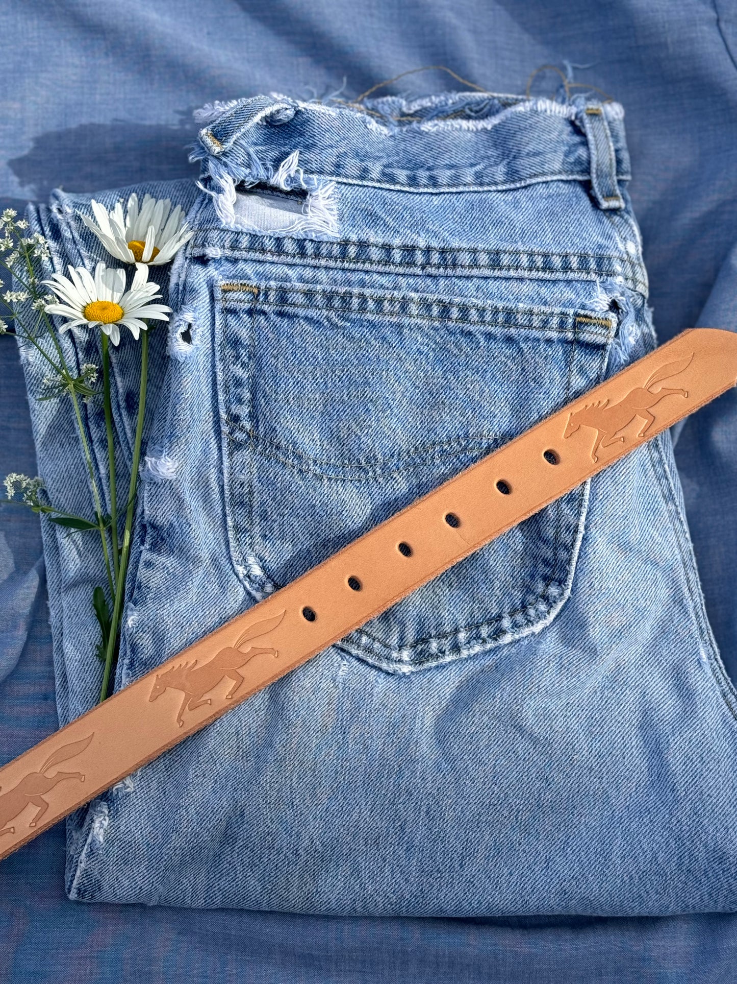 Open Range Field Belt