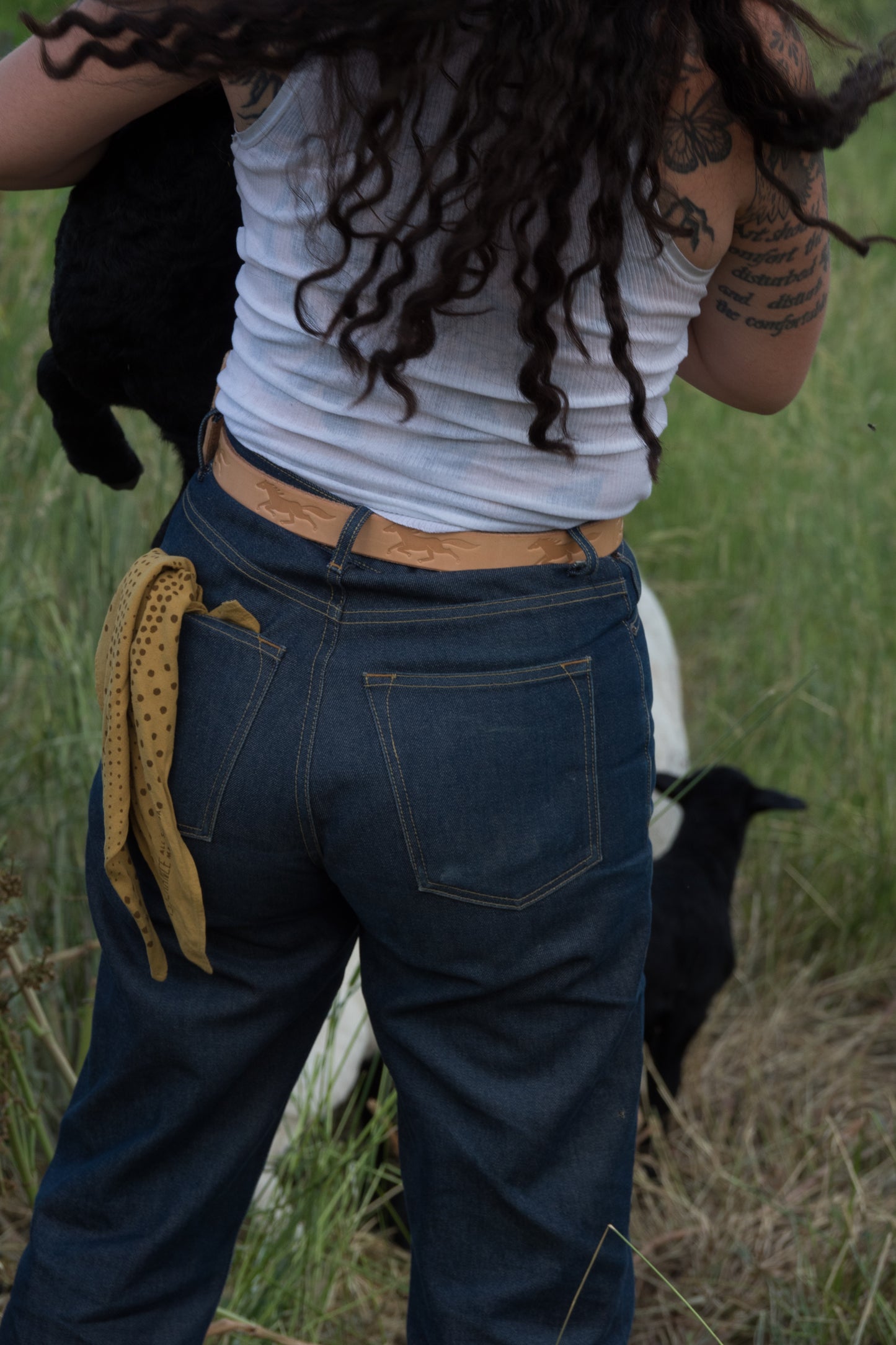 Open Range Field Belt