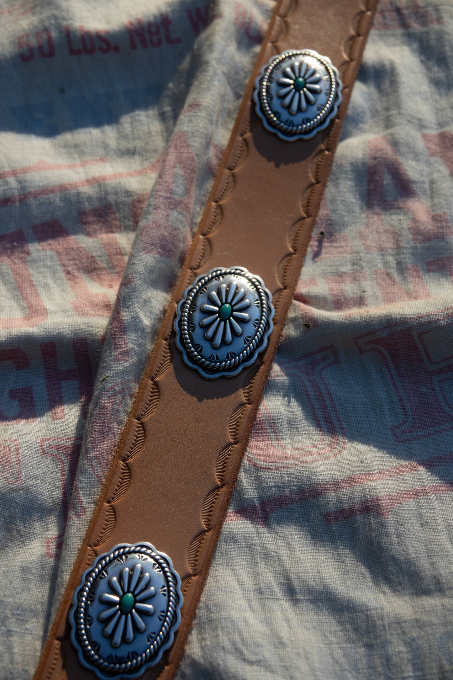 Mesa Belt